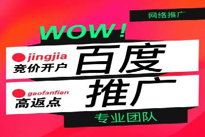 成功SEM竞价托管案例分析报告